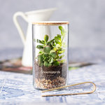 Terrarium Anymak SC