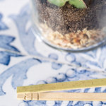 Terrarium Anymak SC