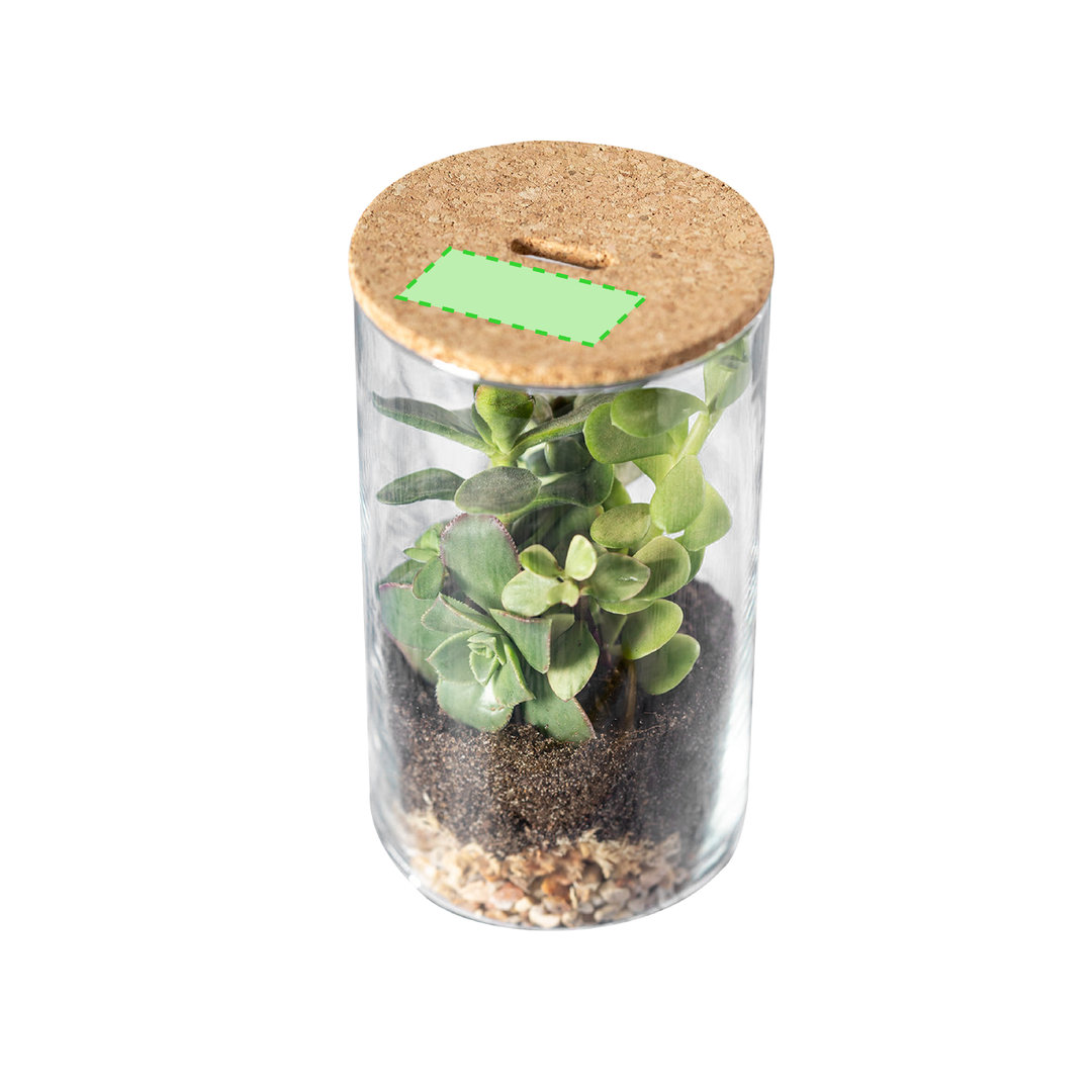 Terrarium Anymak